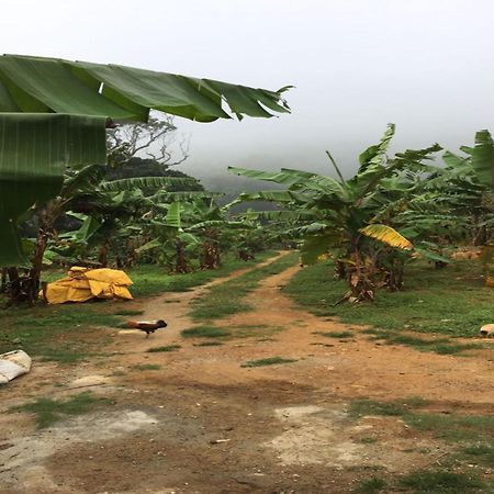 Coastal Grand Mahendravanam - Gebirge Kolli Hills Exterior foto