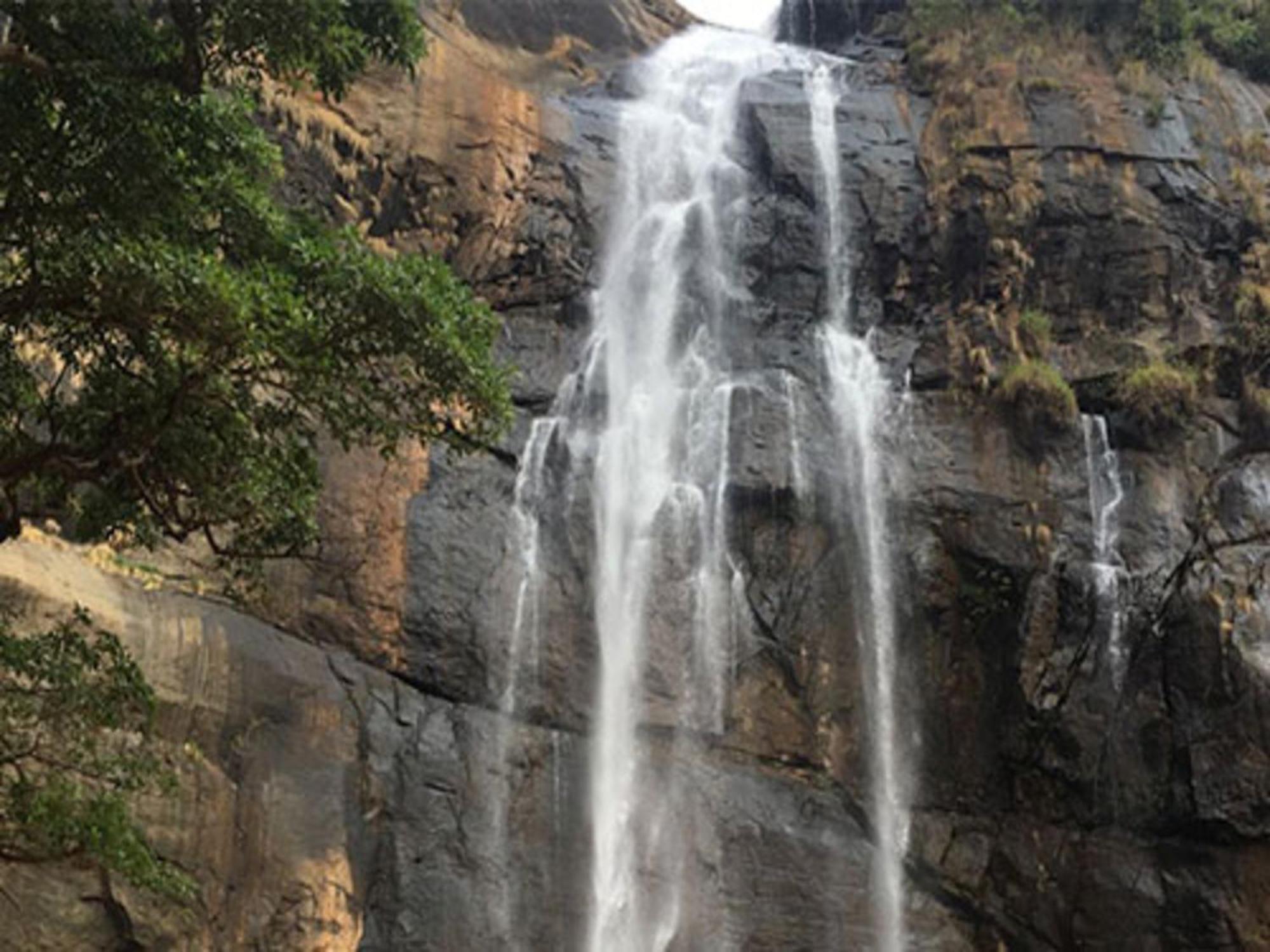 Coastal Grand Mahendravanam - Gebirge Kolli Hills Exterior foto