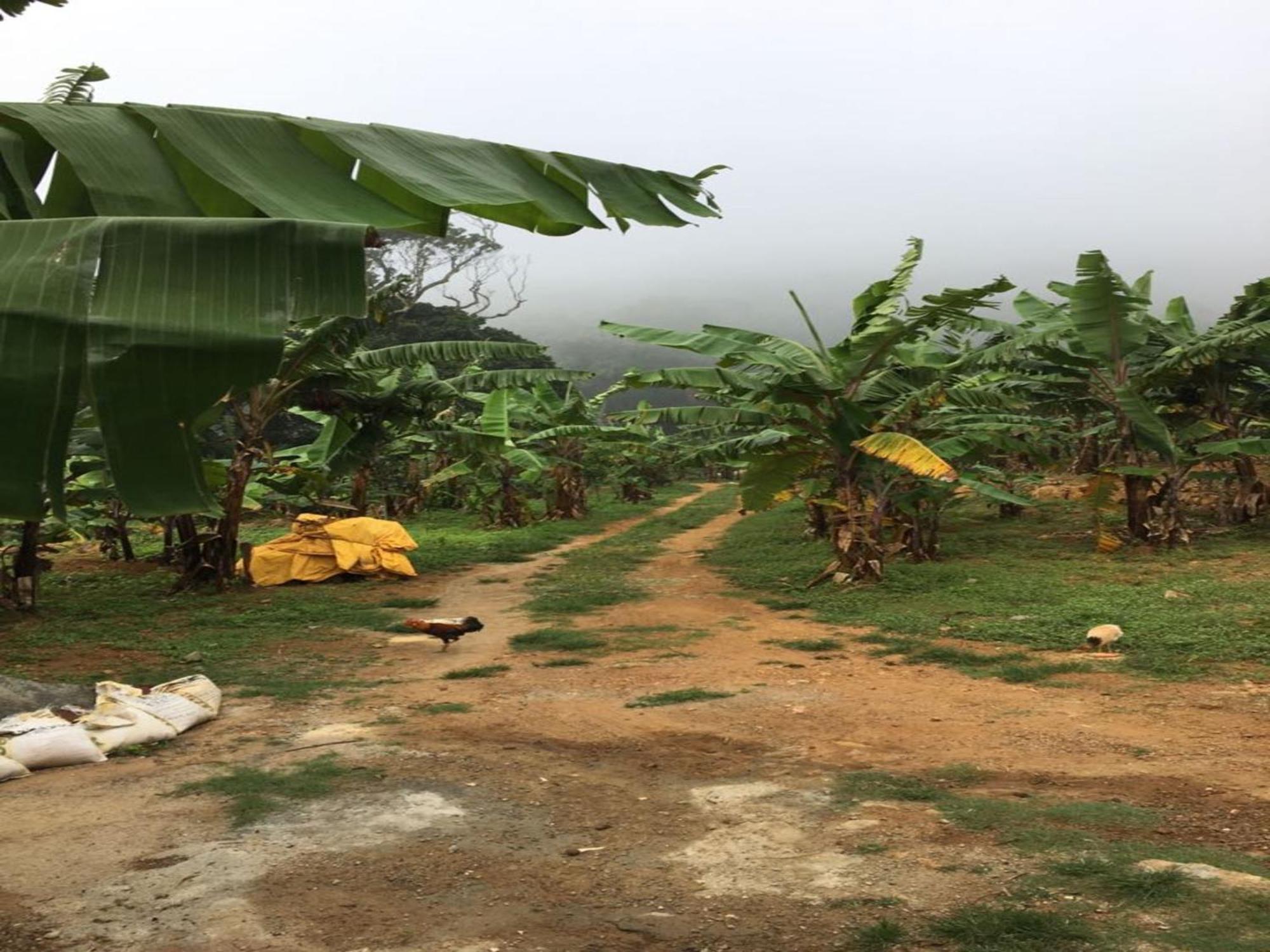 Coastal Grand Mahendravanam - Gebirge Kolli Hills Exterior foto