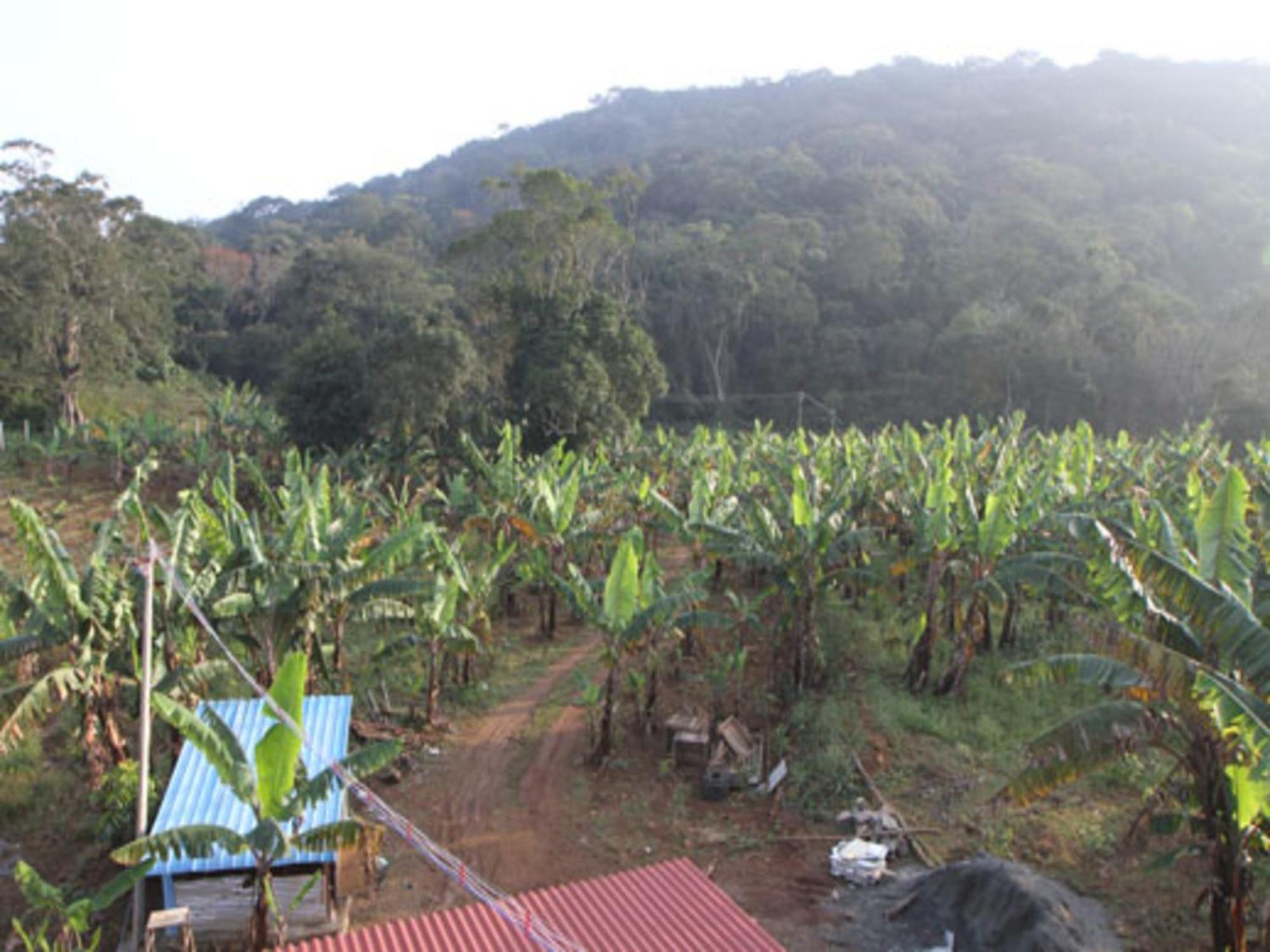 Coastal Grand Mahendravanam - Gebirge Kolli Hills Exterior foto